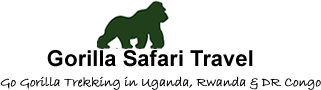 Gorilla Safari Travel